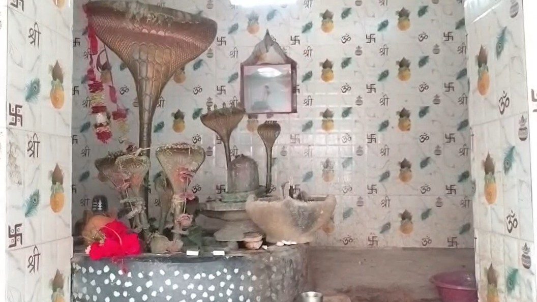 नाग पंचमी पर बिरितिया बाबा धाम में भव्य मेला
