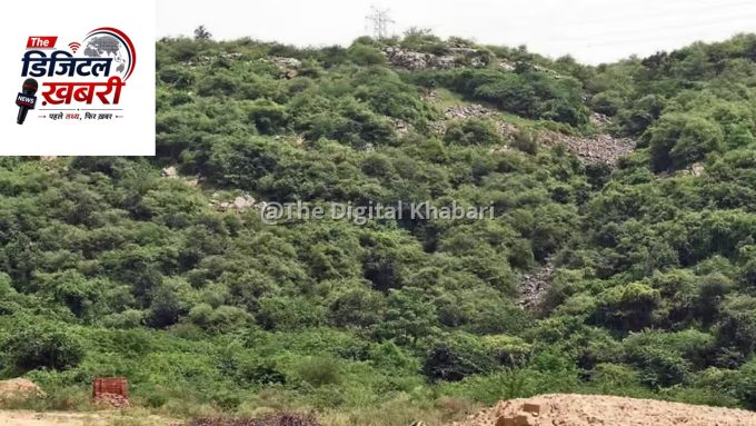 अरावली की पहाड़ियों पर संकट: कागजों में कृषि भूमि दर्ज होने से पर्यावरणविदों में भारी चिंता