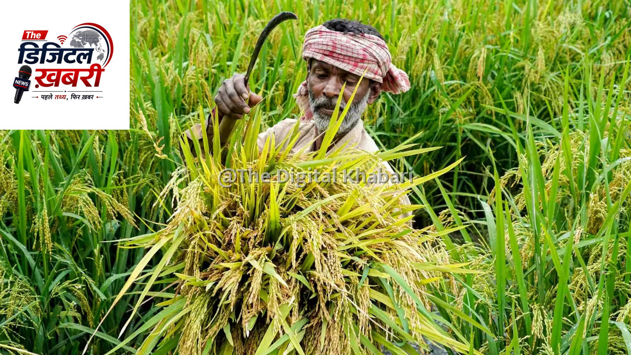 रबी फसलों को सूखे के संकट से बचाने के लिए केंद्र सरकार ने कसी कमर