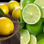 भारतीय नींबू की अनोखी किस्में: स्वाद, सेहत और संस्कृति का अनूठा संगम