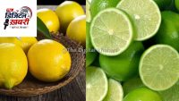भारतीय नींबू की अनोखी किस्में: स्वाद, सेहत और संस्कृति का अनूठा संगम